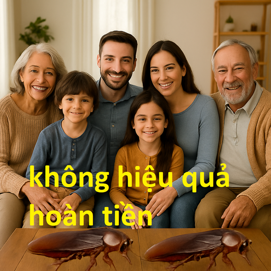 1TÚI 6 VIÊN DIỆT GIÁN- KHÔNG HIỆU QUẢ HOÀN TIỀN